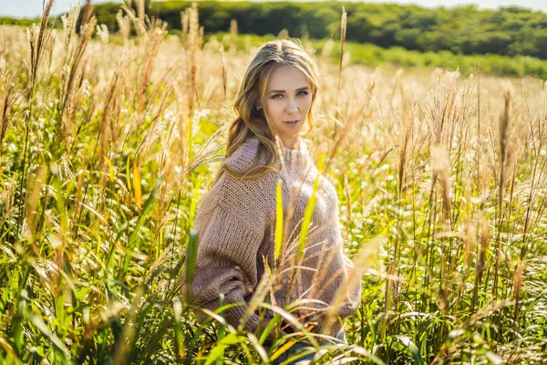 Young beautiful woman in autumn landscape with dry flowers, wheat spikes. Fashion autumn, winter. Sunny autumn, Cozy autumn sweater. fashion photo
