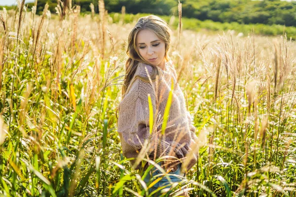 Junge schöne Frau in herbstlicher Landschaft mit trockenen Blumen, Weizenspitzen. Mode Herbst, Winter. sonniger Herbst, kuscheliger Herbstpullover. Modefoto — Stockfoto