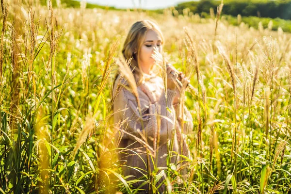 年轻美丽的女人在秋天的风景与干燥的花, 麦穗。时尚的秋天, 冬天。阳光明媚的秋天, 舒适的秋天毛衣。时尚照片 — 图库照片