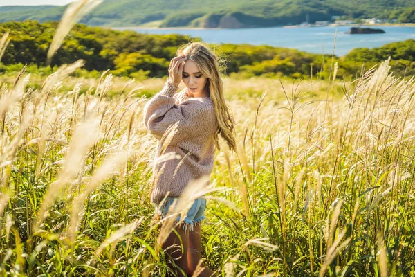 Young beautiful woman in autumn landscape with dry flowers, wheat spikes. Fashion autumn, winter. Sunny autumn, Cozy autumn sweater. fashion photo.