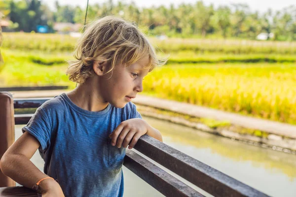 Хлопчик дивиться на рибу в ставку — стокове фото