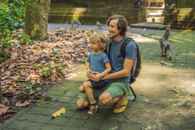 Baba ve oğul maymunların maymun orman, Bali, Endonezya'da Ubud tapınağında izlerken.