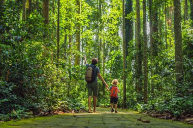 Baba ve oğul Ubud maymun orman, Bali, Endonezya seyahat.