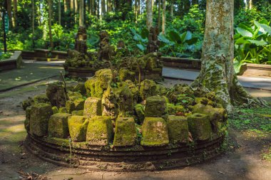Tapınak mimarisi ormanda maymun orman Ubud, Bali Adası, Endonezya.
