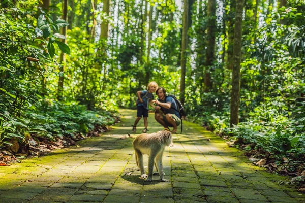 Μπαμπάς Και Γιος Βλέποντας Μακάκος Στο Ubud Ναό Στο Δάσος — Φωτογραφία Αρχείου