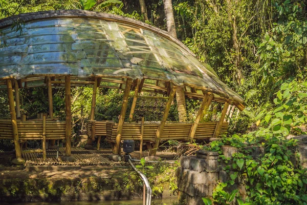 Bamboo village, Traditional houses constructed by Bamboo with Thatch roof in the heart of Bali island. Very unique and green concept