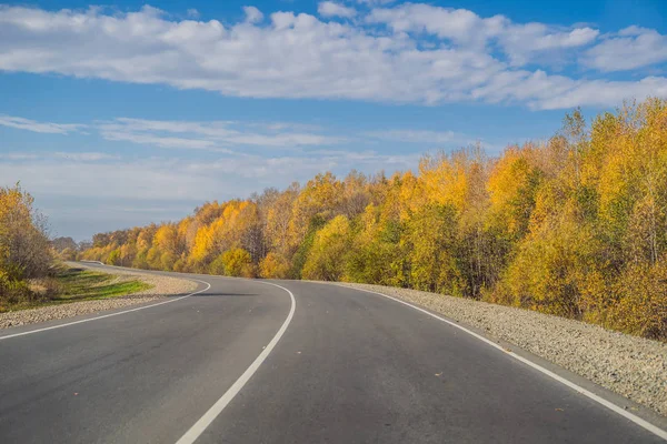 Scenery with colorful autumnal woods and asphalt road.