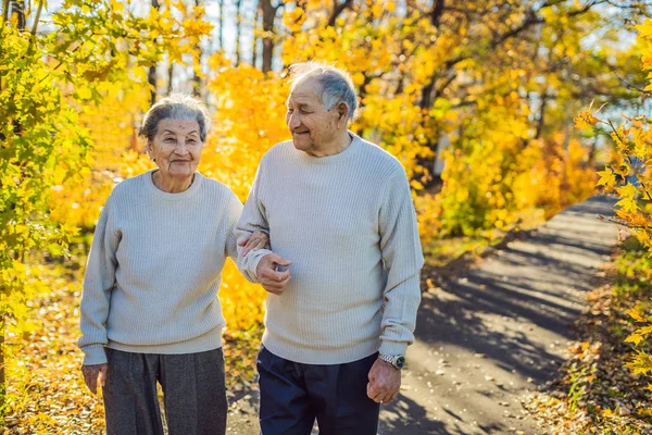 Gelukkig senioren in de herfst bos. familie, leeftijd, seizoen en mensen concept - gelukkige senior paar lopen over herfst bomen-achtergrond — Stockfoto