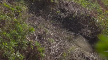 Vladivostok, Rusya - 8 Ekim 2018: Ağır çekim çekim enduro motosiklet yarış toprak yol üzerinde