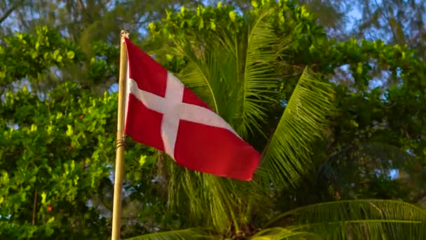 Флаг Швейцарии на тропическом фоне — стоковое видео