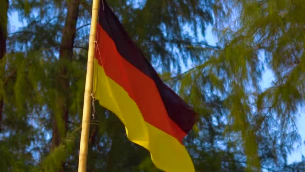 Bandera de Alemania sobre fondo tropical — Vídeo de stock