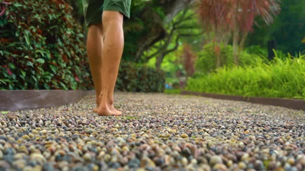 Tikje schot van een jonge man lopen op een reflexzonemassage pad in een tropisch park — Stockvideo