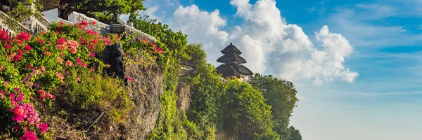 Vackra Blommor Och Natursköna Landskap Med Klippa Över Havet Pura — Stockfoto