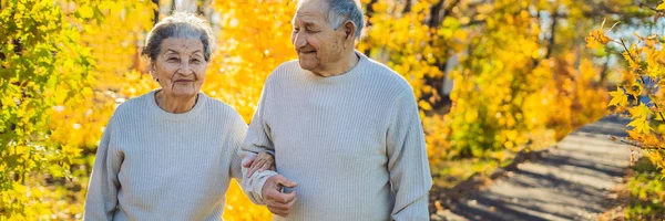 Felices personas mayores en el bosque de otoño. familia, edad, estación y concepto de personas - feliz pareja de ancianos caminando sobre los árboles de otoño fondo BANNER, FORMATO LARGO —  Fotos de Stock