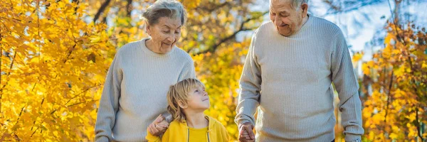 Coppia anziana con nipotino nel parco autunnale. bisnonna, bisnonno e pronipote BANNER, FORMATO LUNGO — Foto Stock