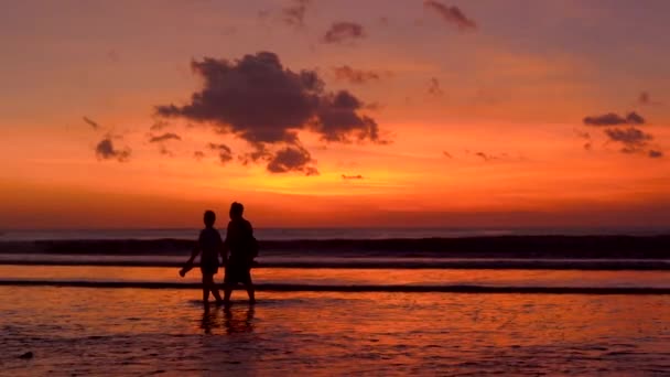 Silhueta de um casal caminhando em uma praia durante um belo pôr do sol — Vídeo de Stock