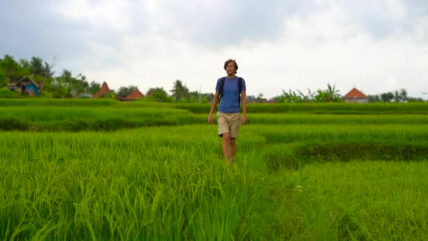 Fotografía en cámara lenta de un joven caminando al borde de un hermoso campo de arroz — Vídeo de stock