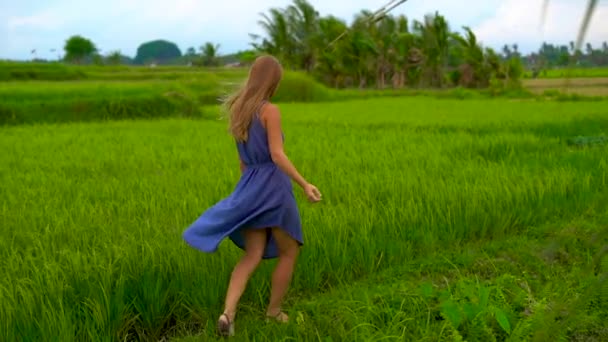 Filmagem em câmara lenta de uma jovem que caminha à beira de um belo campo de arroz — Vídeo de Stock