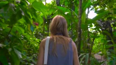 Steadicam atış tropik bir ormanda yürüyen genç bir kadın