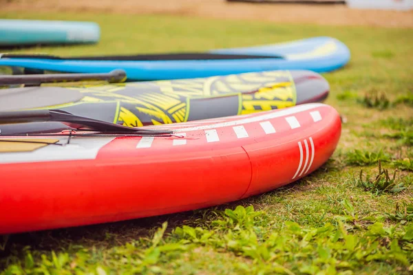 Sup Planken Liggen Het Gras Door Rivier Meer Zee — Stockfoto