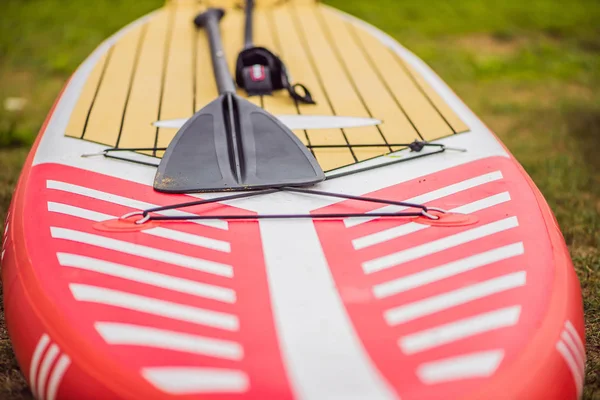 Panneaux Sup Couchés Sur Herbe Bord Rivière Lac Mer — Photo