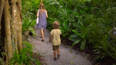 Bir tropik bahçe ile egzotik meyve ağaçları ve tesisleri ziyaret ettiğiniz Steadycam atış genç bir kadın ve oğlu