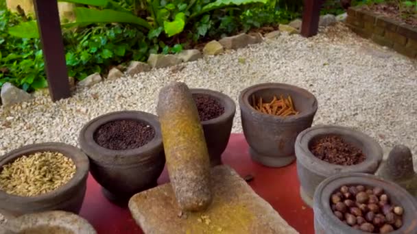 Steadycam skott av samling av tropiska matlagning kryddor i sten skålar — Stockvideo
