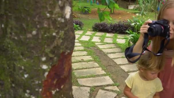 Молодая женщина в тропическом саду фотографирует коричное дерево — стоковое видео