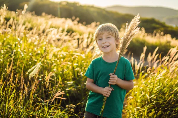 Hermoso niño sonriente feliz entre los campos de maíz tocando plantas con sus manos — Foto de Stock