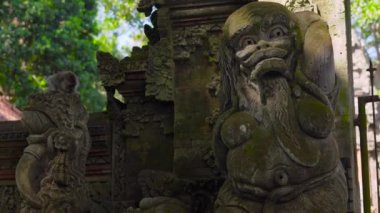 Steadicam atış bir Kutsal Taş heykellerin doğal park maymun orman Ubud Köyü, Bali, Endonezya