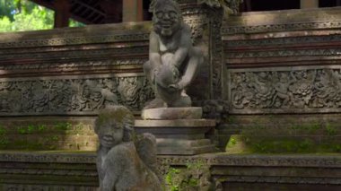 Steadicam atış bir Kutsal Taş heykellerin doğal park maymun orman Ubud Köyü, Bali, Endonezya