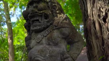 Steadicam atış bir Kutsal Taş heykellerin doğal park maymun orman Ubud Köyü, Bali, Endonezya