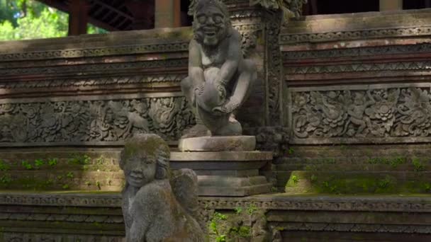 Steadicam shot van een heilige stenen beelden in het natuurpark Monkey forest in Ubud dorp, Bali, Indonesië — Stockvideo