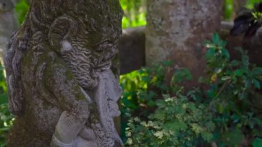 Steadicam atış bir Kutsal Taş heykellerin doğal park maymun orman Ubud Köyü, Bali, Endonezya