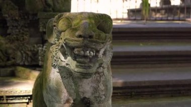 Steadicam atış bir Kutsal Taş heykellerin doğal park maymun orman Ubud Köyü, Bali, Endonezya