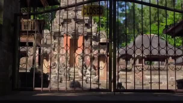 Steaducam shot-a templom belsejében egy majom erdő borítja faragott kő — Stock videók
