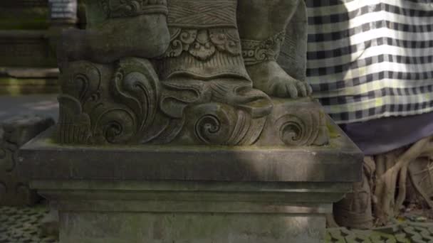 Steadicam foto di una statua sacra in pietra nel parco naturale Foresta delle scimmie nel villaggio di Ubud, Bali, Indonesia — Video Stock