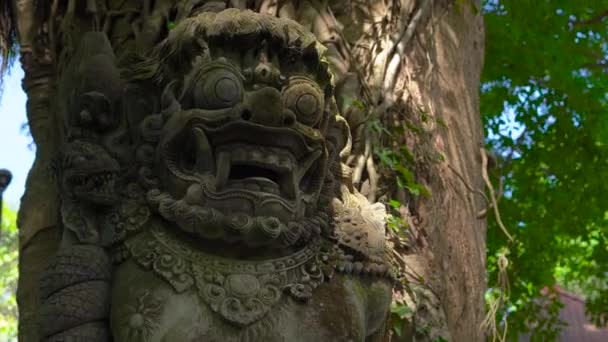Steadicam shot of a sacred stone statues in the natural park Monkey forest in Ubud village, Bali, Indonesia — Stock Video