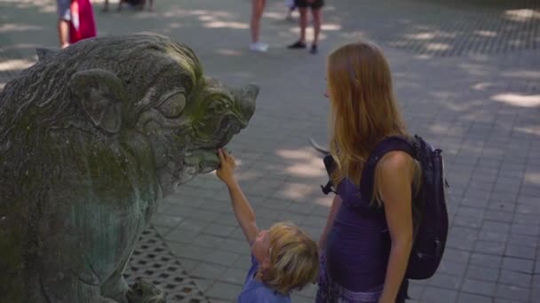 Fotografía Cámara Lenta Una Joven Pequeño Hijo Visitando Parque Ecológico — Vídeos de Stock