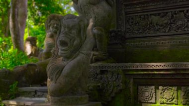 Slowmotion Steadicam atış duvar ve tapınağın oyma taş ile kaplı bir maymun orman içinde heykelleri