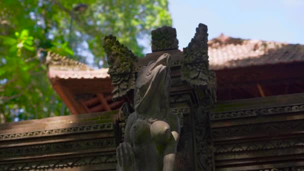 Медленная съемка стен и статуй храма внутри леса обезьян, покрытого резьбой по камню — стоковое видео