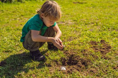 Çocuk geri dönüşüm çalıyor. Plastik tek kullanımlık tabakları ve ayrıştırılabilir tabakları gömüyor.