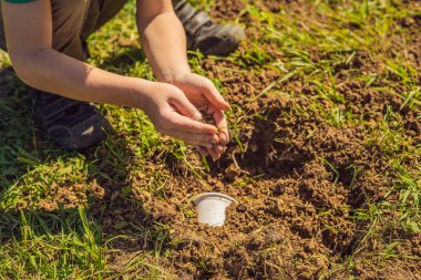 Çocuk geri dönüşüm çalıyor. Plastik tek kullanımlık tabakları ve ayrıştırılabilir tabakları gömüyor.