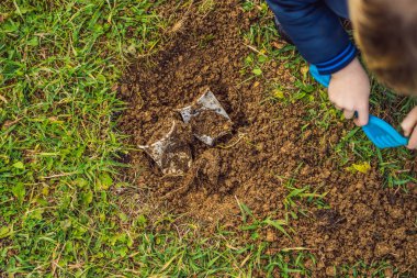 Çocuk geri dönüşüm çalıyor. Plastik tek kullanımlık tabakları ve ayrıştırılabilir tabakları gömüyor. Birkaç ay sonra, bulaşıkları kazıp çıkardı ve ayrıştırılabilir tabakların çözülmeye başladığını gördü.
