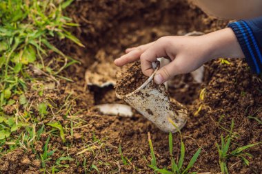 Çocuk geri dönüşüm çalıyor. Plastik tek kullanımlık tabakları ve ayrıştırılabilir tabakları gömüyor. Birkaç ay sonra, bulaşıkları kazıp çıkardı ve ayrıştırılabilir tabakların çözülmeye başladığını gördü.