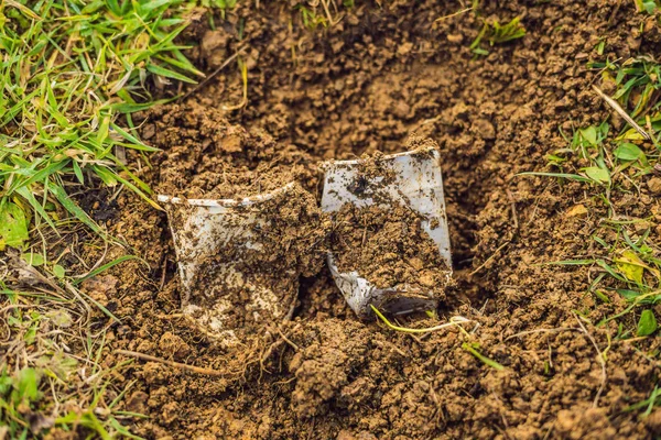 The boy plays recycling. He buries plastic disposable dishes and biodegradable dishes. After a few months, he dug up the dishes and saw that the biodegradable dishes began to decompose and plastic did