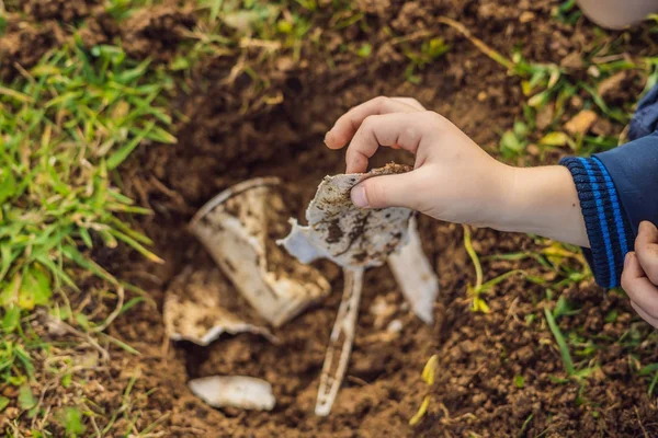 O rapaz joga reciclagem. Ele enterra pratos descartáveis de plástico e pratos biodegradáveis. Depois de alguns meses, ele desenterrou os pratos e viu que os pratos biodegradáveis começaram a se decompor e plástico fez — Fotografia de Stock