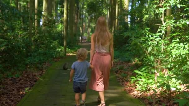 若い女性とサンゲエ モンキー フォレスト インドネシア バリ島の内を歩いている彼女の息子のスローモーション撮影 — ストック動画