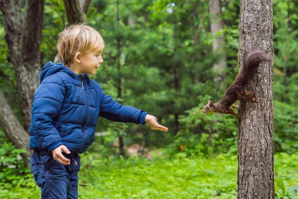 Niño y ardilla en el parque — Foto de Stock