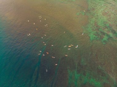 Okyanus su dalgalarda sörf insan havadan görünümü